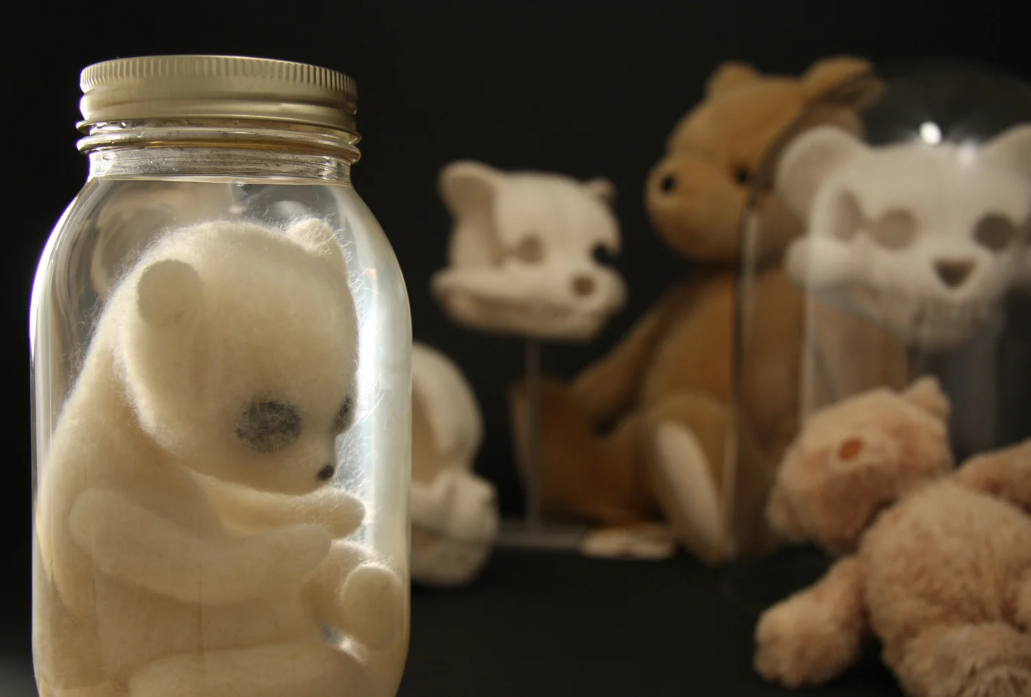 Teddy Bear Unnatural History — Stephanie Metz